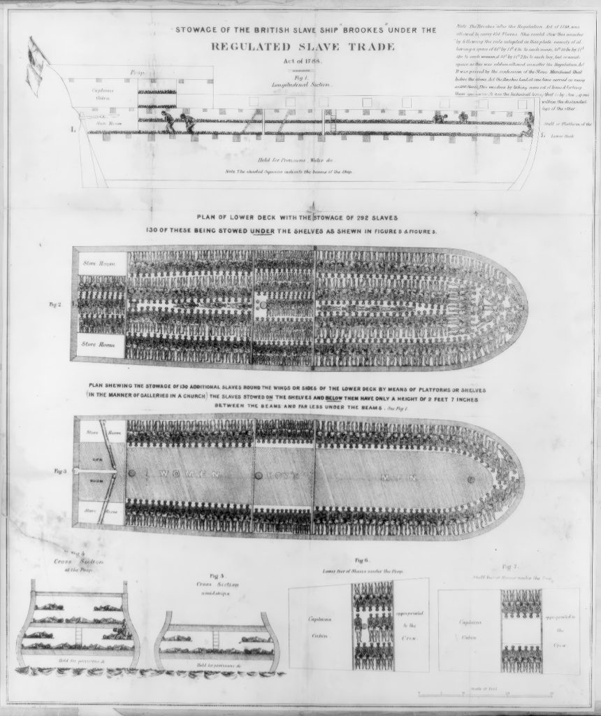Stowage of the British Slave Ship Brookes under the Regulated Slave Trade Act of 1788