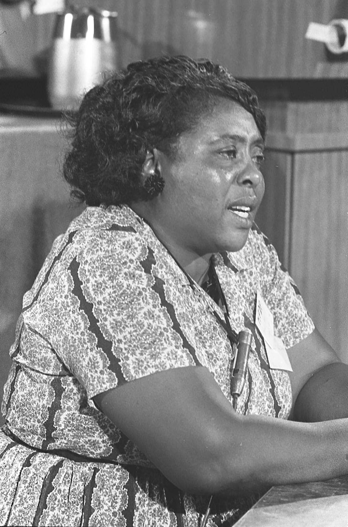  Fannie Lou Hamer